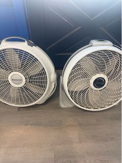 Fan