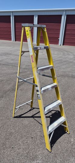 250lb rated 6ft step ladder
