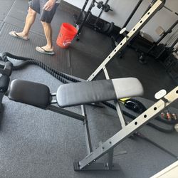 Workout Bench/Leg Curls 