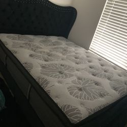Queen Size Bed frame 