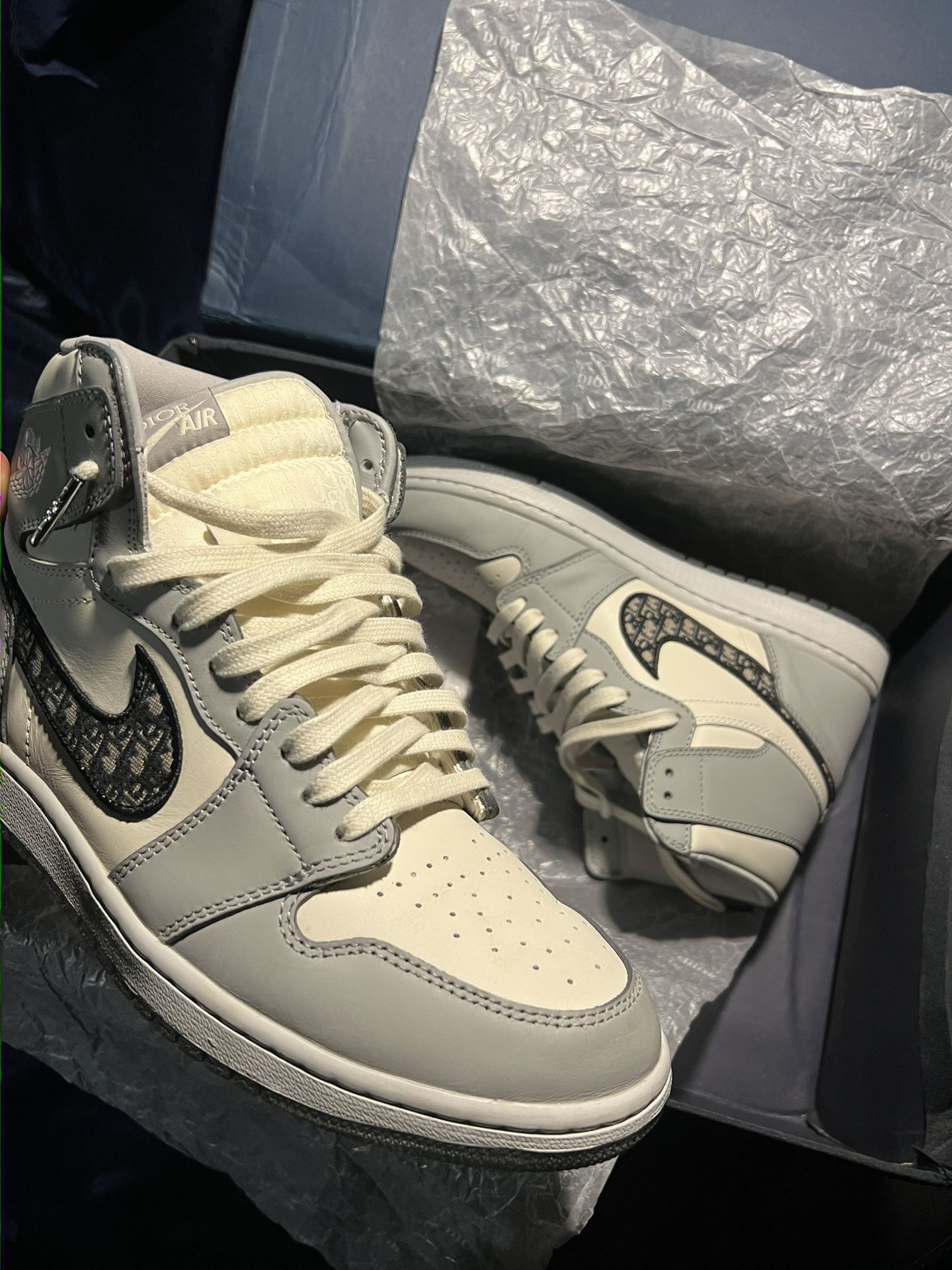 Dior Air Jordan 1s