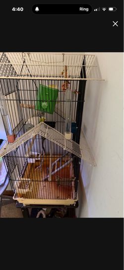 Birds Cage Or Hamster House New