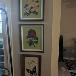 Various Floral Wall Art 