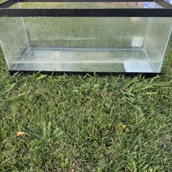 20 Gallon Tank