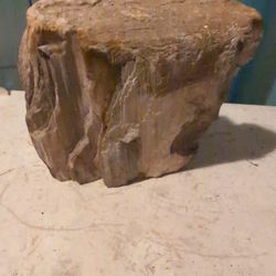 Petrified Wood That Looks Like Jesus