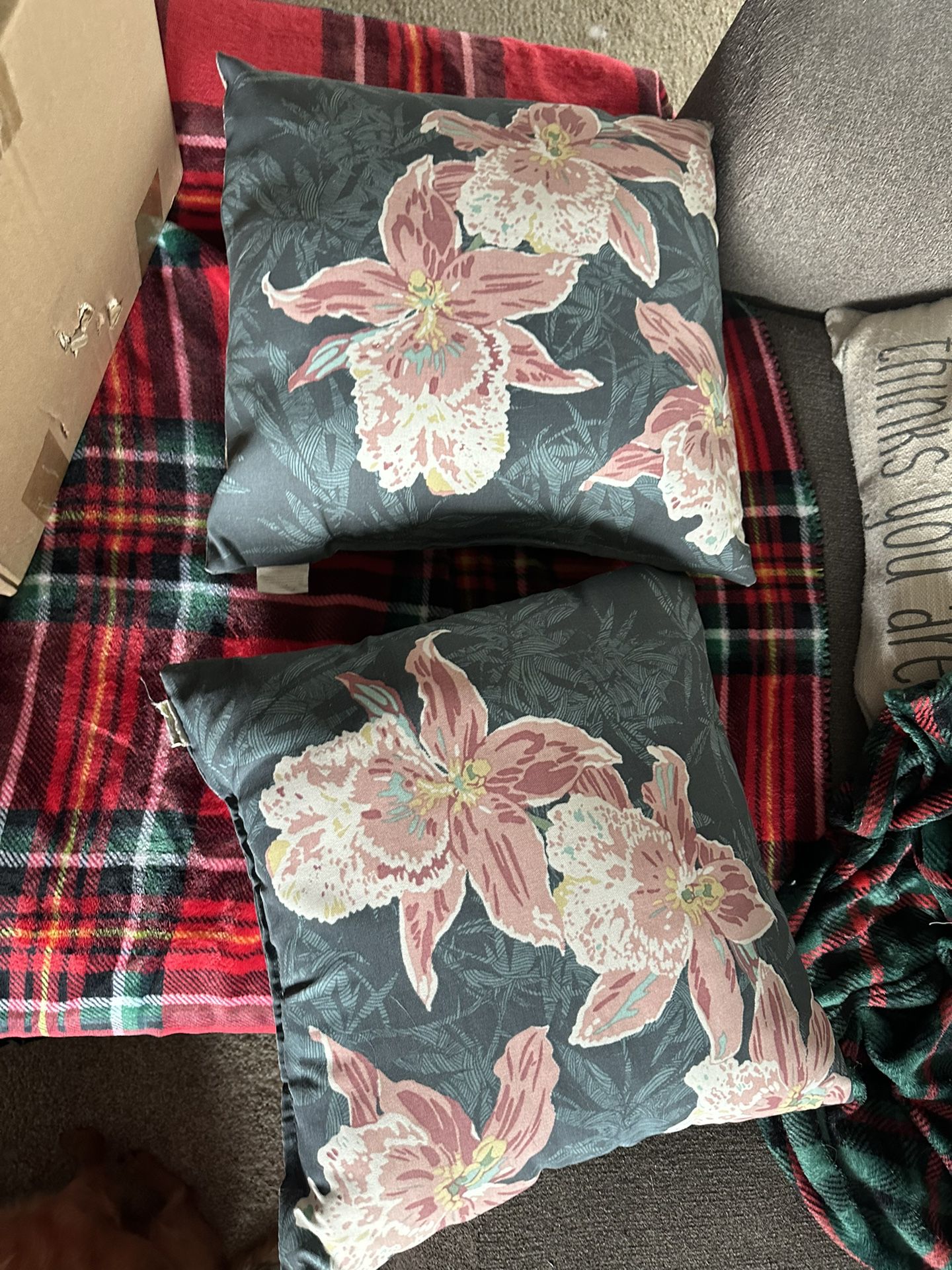 2 Outdoor Patio Pillows 