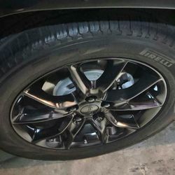 plasti dip