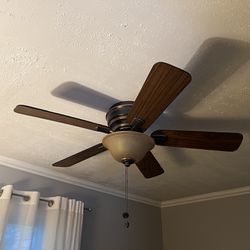Ceiling Fan With Light 