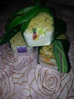 Ocean sea sponge embedded