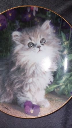 Purrrfection Kitty Plate 