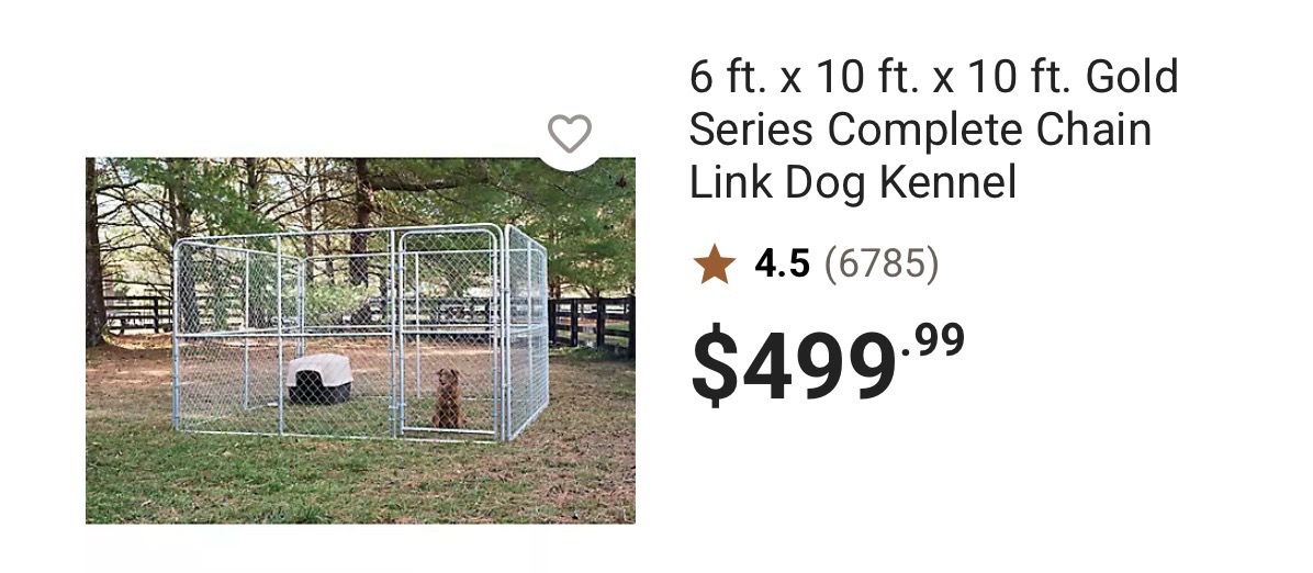 10 x 10 chain link enclosure, Top, chicken feeder, chicken water bucket