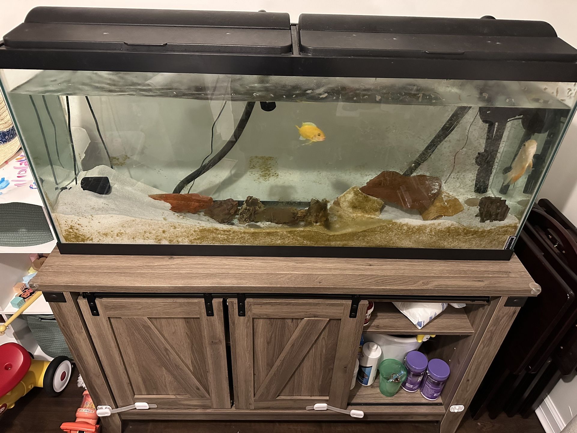 Fish Tank 55g