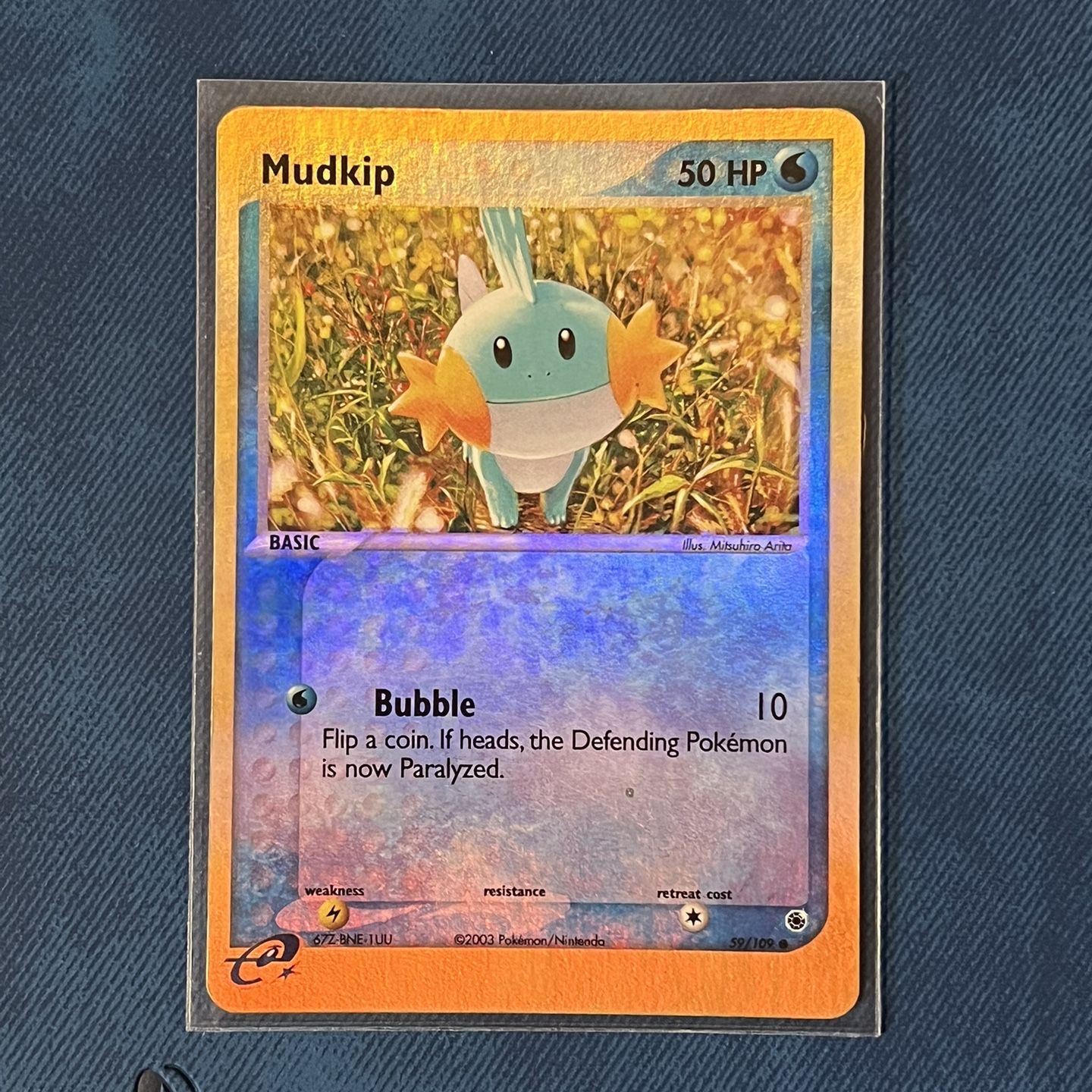 pokemon card mudkip Promo Promotional Pokemon trading card Mudkip E Reader Pokmon Card