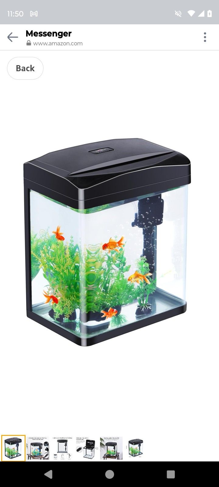 2 Gallon Glass Tank