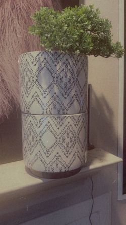 Pots and plants