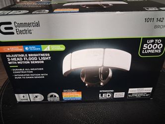 3 headed flood light