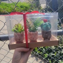 Artifical Succulents New