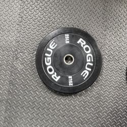 Rogue Echo V2 25 lb plates (pair)