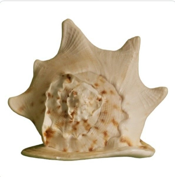 Giant 9" Cassis Contains horned helmet. approx 9x6