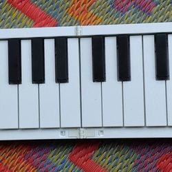 Carry-On 49 Key Electric Piano