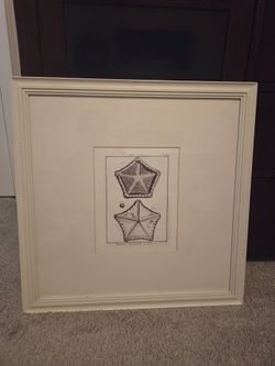 Pottery Barn Framed Vintage Starfish Art Print - 20.5" x 20.5"