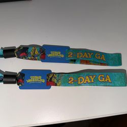 Beyond Wonderland 2026 2-Day Wristbands (2)