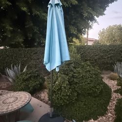 Umbrella