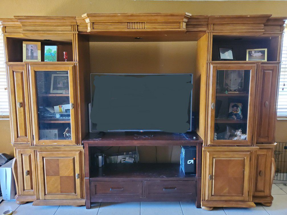 Lighted Wall Unit w/TV Stand