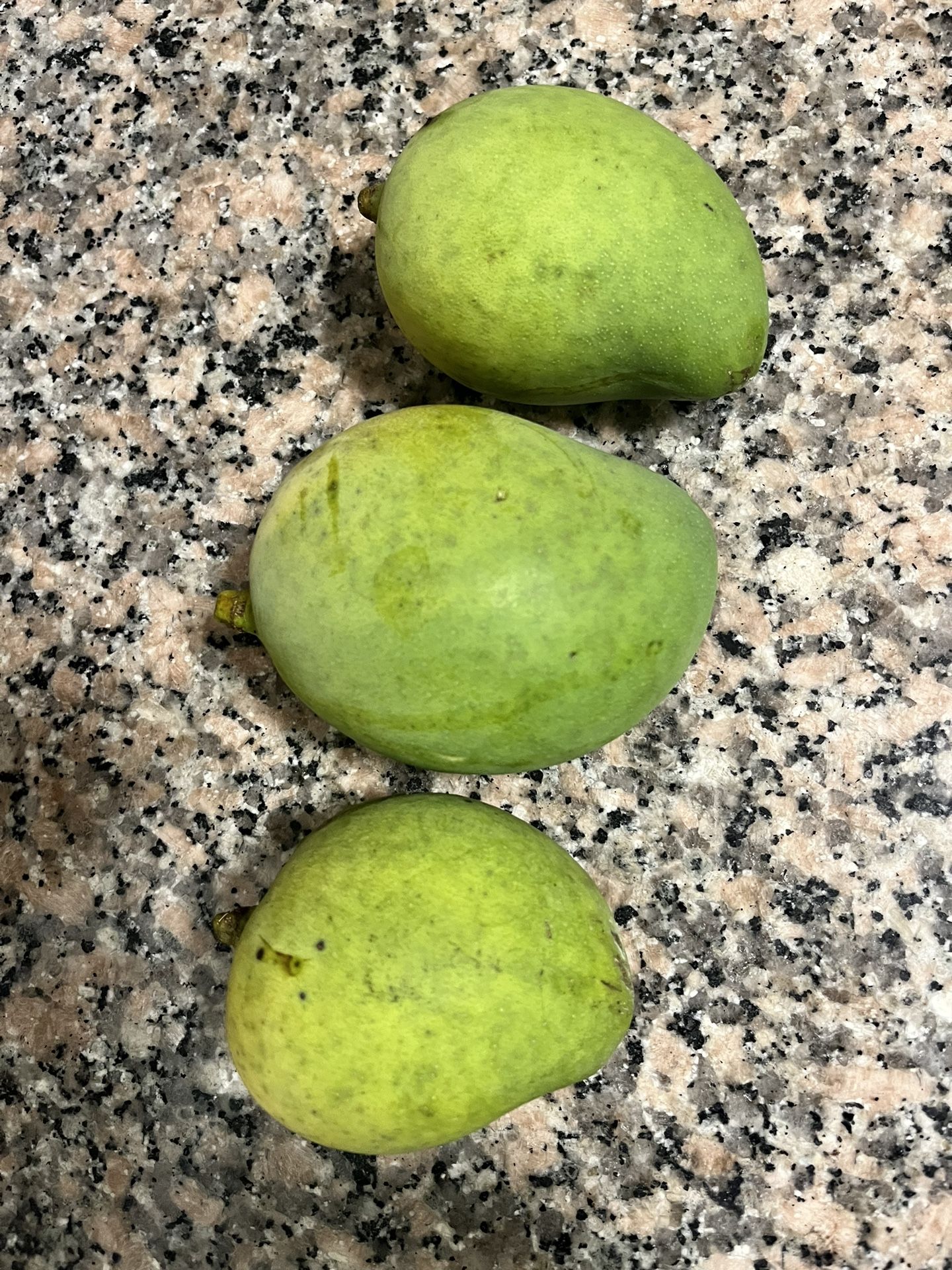 Mangoes for Sale in West Palm Beach, FL OfferUp