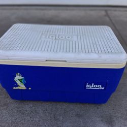 Igloo Ice Cooler 