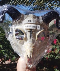 HALLOWEEN FACE MASK