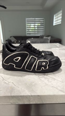 Flea/cpfm air forces