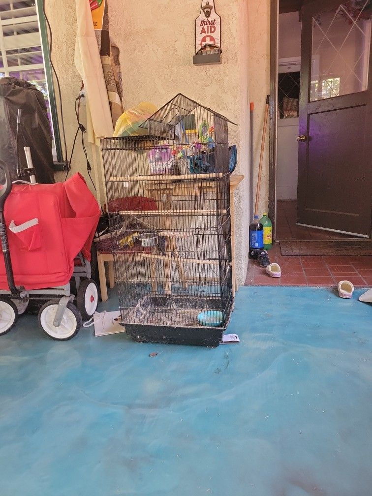 Bird Cage