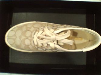 Coach City sole Skate Stone/Chalk