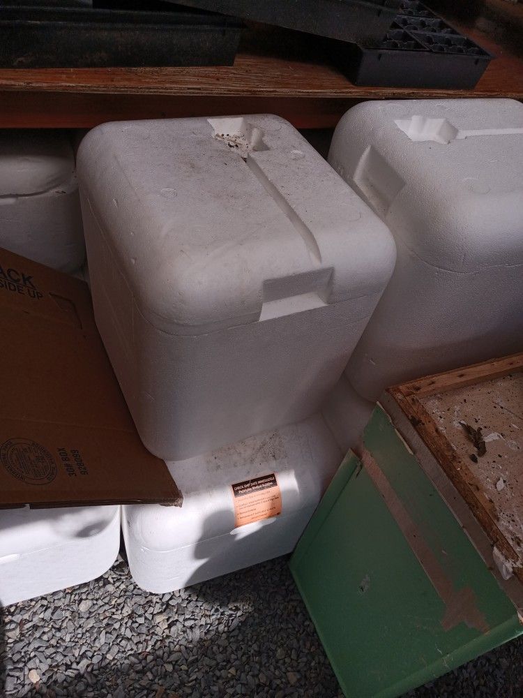 Coolers Styrofoam Various Sizes