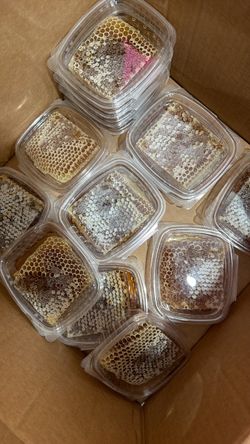 Panal abejas 🐝