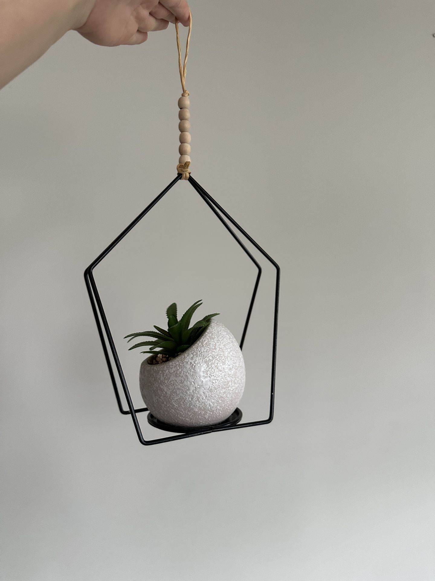 Modern Hanging Succulent