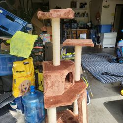 Cat Tree