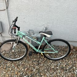 Titan Girls 10 Speed Bike 