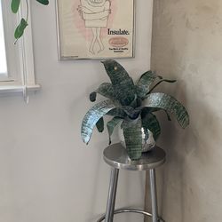 plants