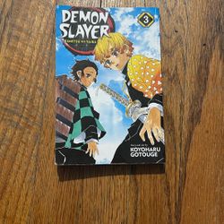 Demon Slayer Manga Vol 3