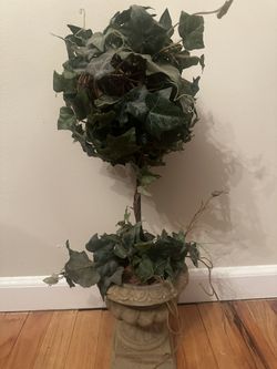Plant Decor