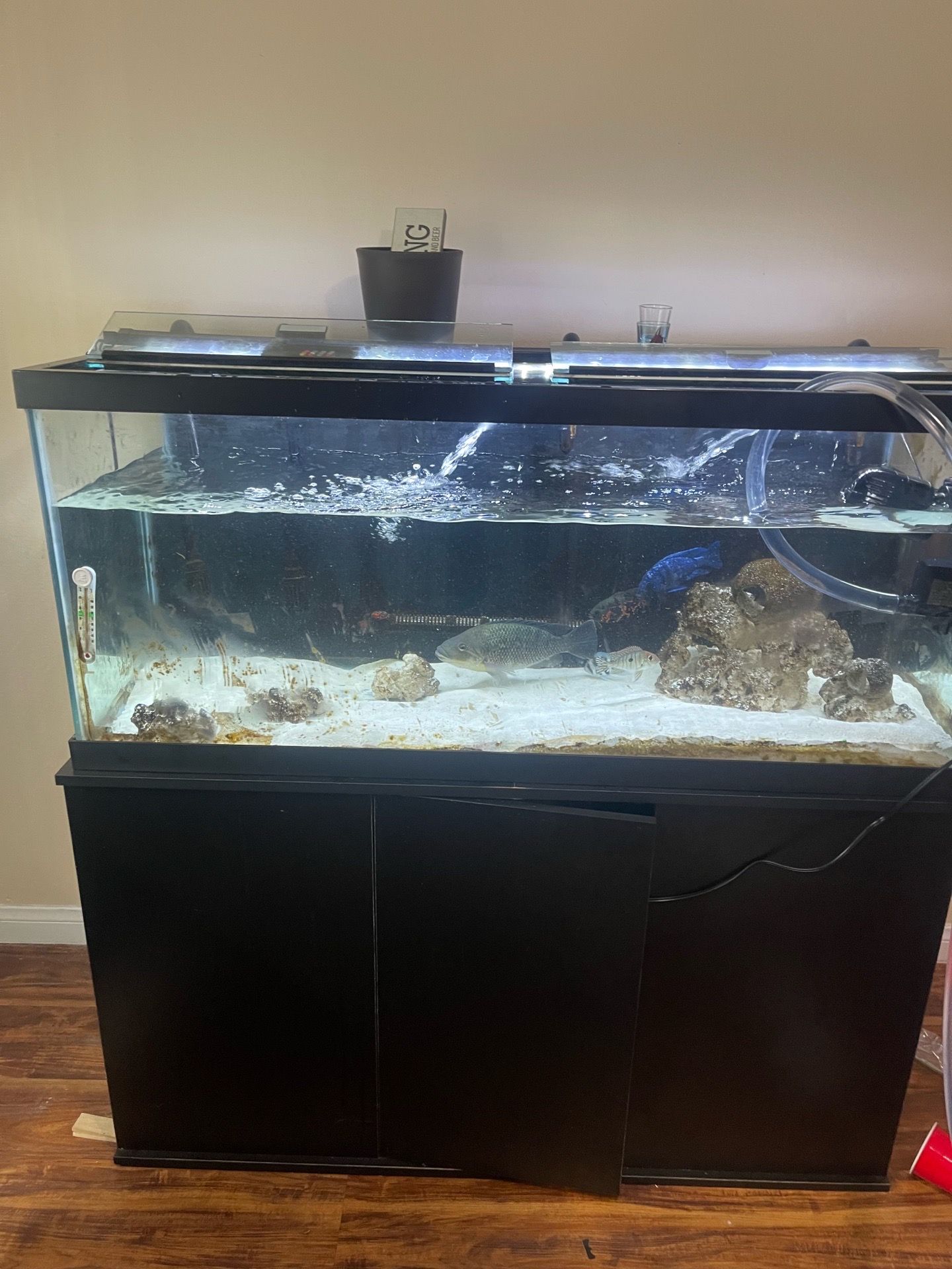 75 gallon tank and stand only