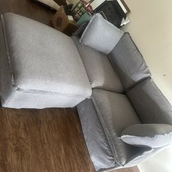 Pet Friendly Couch 