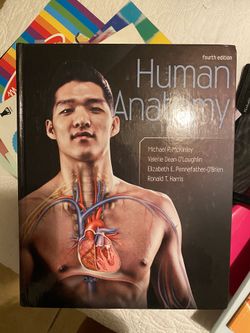 Human Anatomy Textbook