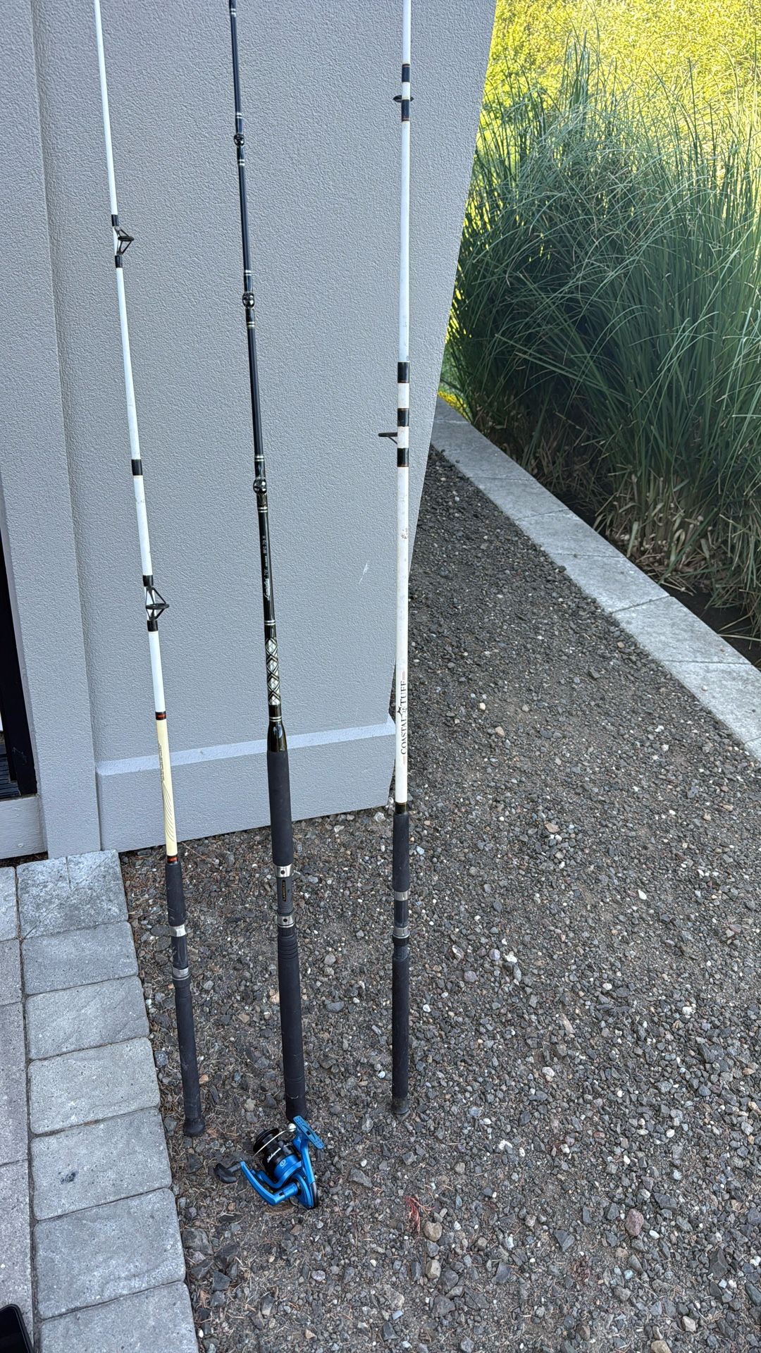 3 Fishing Poles And A Reel One Coastal Tuff, One Competition, One Brand New Lamaglass Pole And A Reel