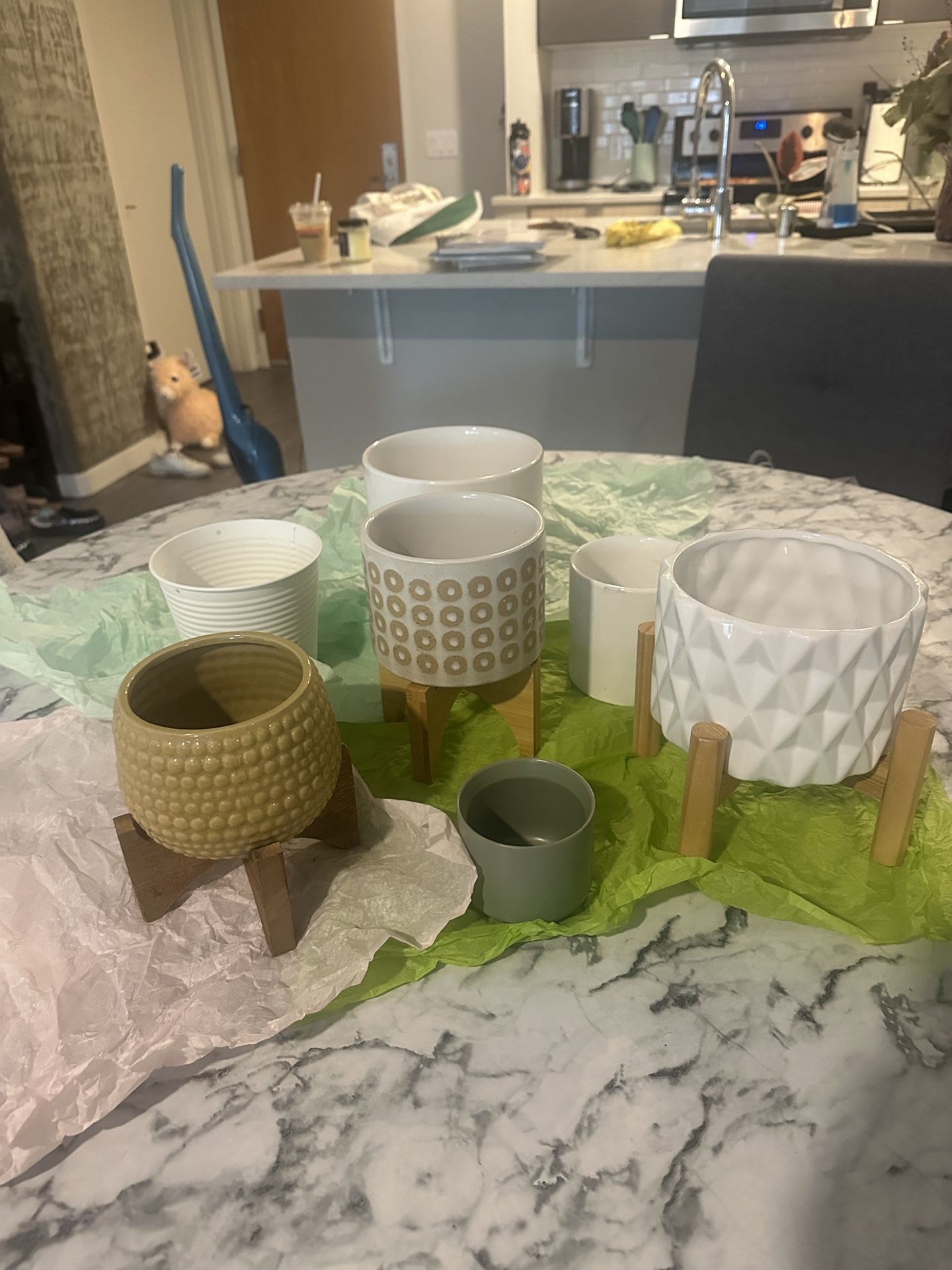 Plant Pots