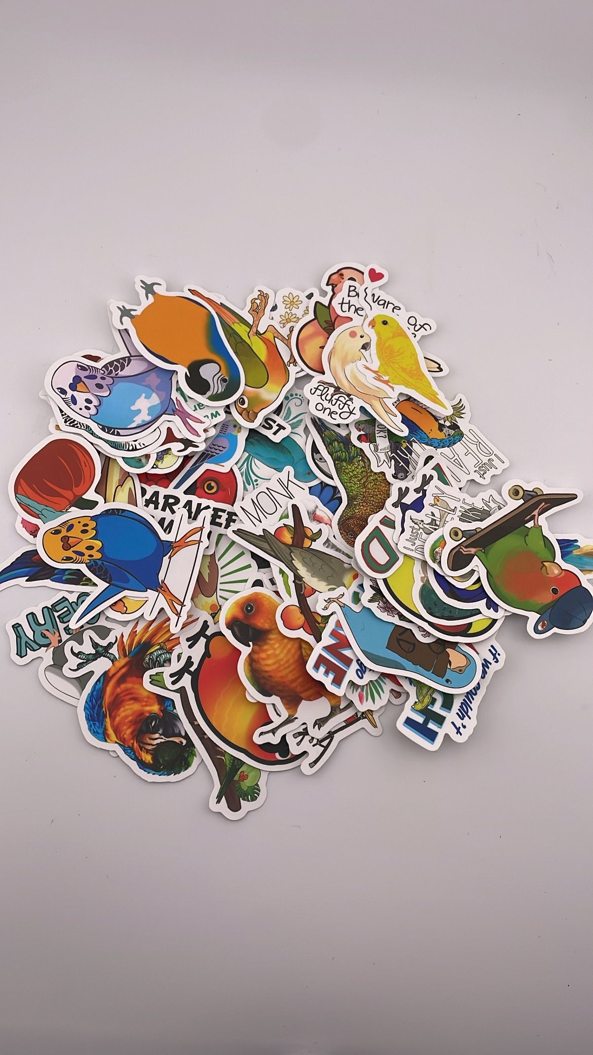 Parrot Stickers 50 Pcs