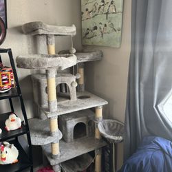 Tall Cat Tower 