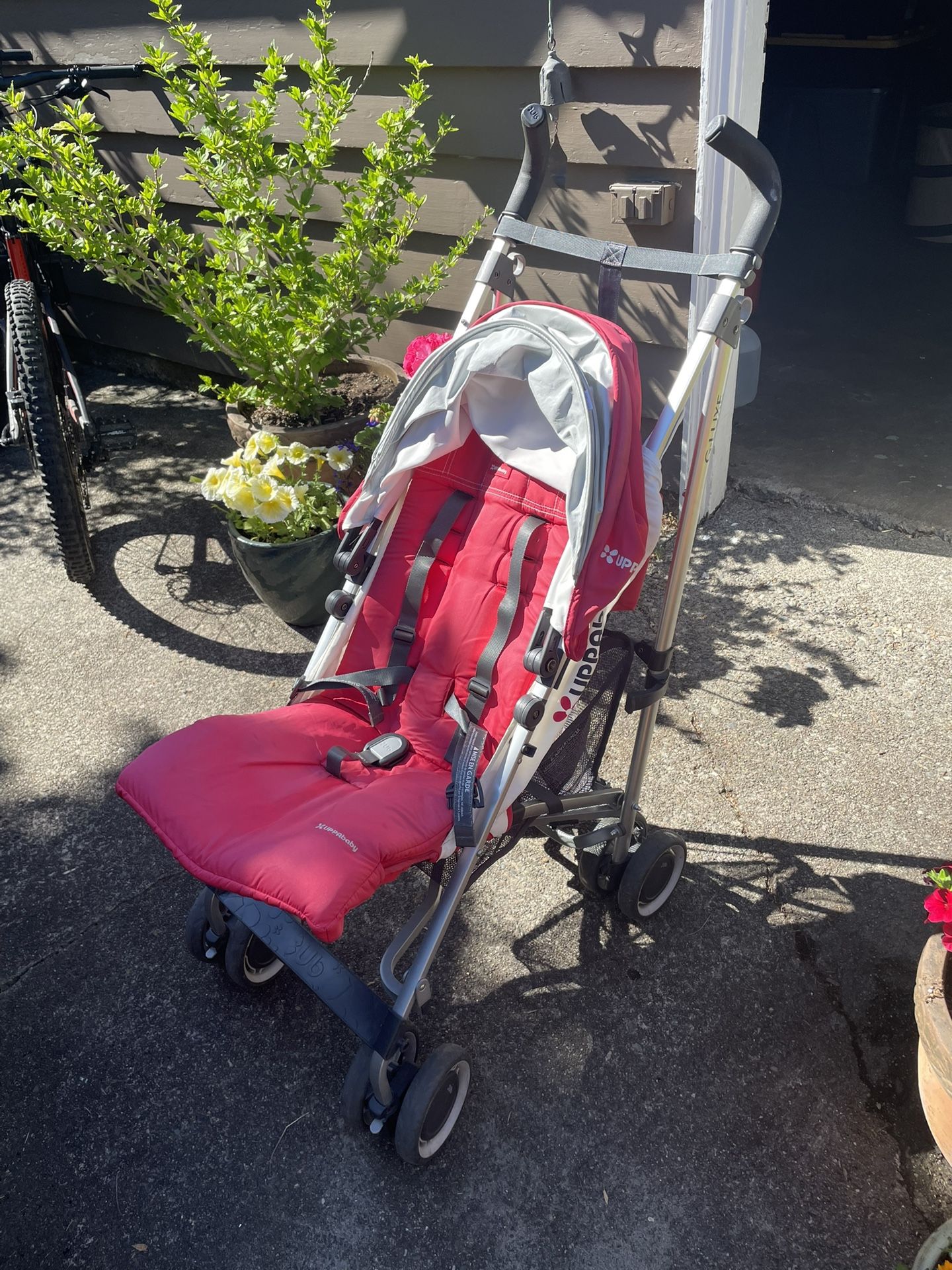 Uppababby Gluxe Umbrella Stroller OBO